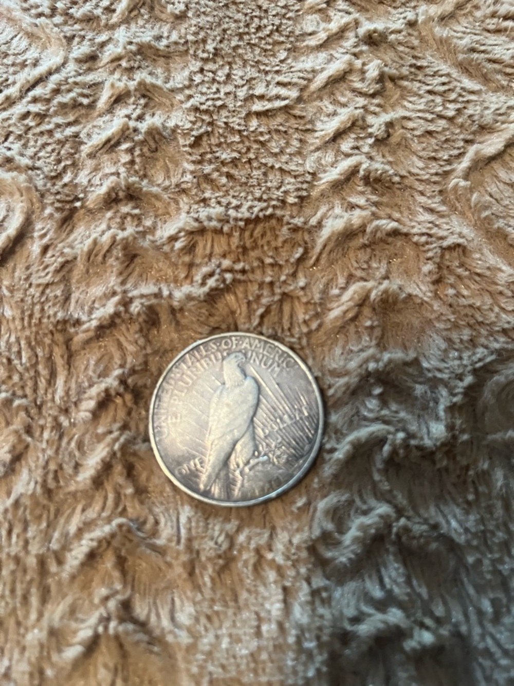 Silver Peace Silver Dollar Coin - 1923 - Picture 2 of 2